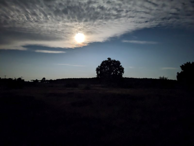 Der Mond machgt die Nchtwanderung einfach schön!